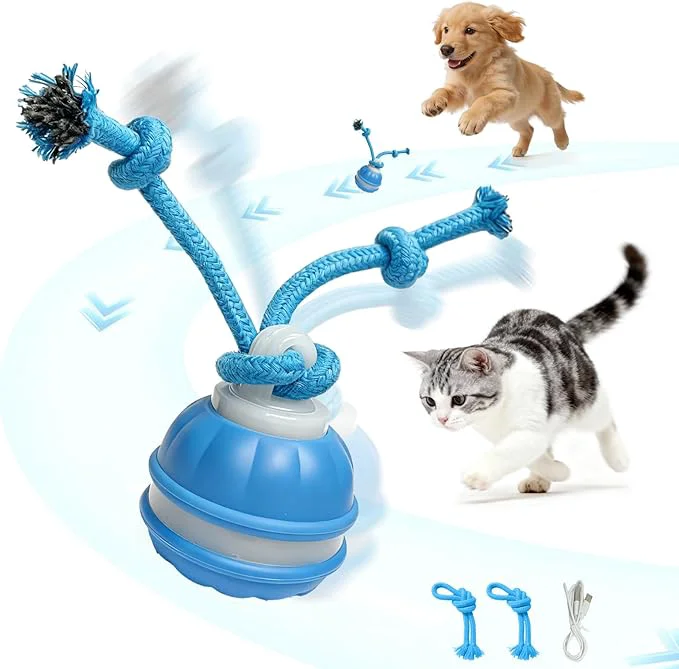 Fashionable Interactive Dog Cat Toys for Small Dogs and Indoor Cats – Automatic Moving Ball with Chirping Sound Motion Activated Self Play Toy to Entertain Bored Pets Durable USB-C Rechargeable 1 Blue About This Proven