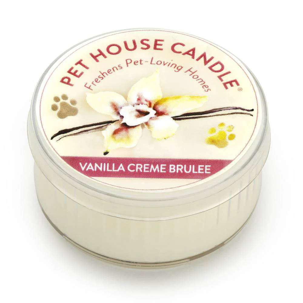 Casual Vanilla Creme Brulee Mini Candle Minimalist