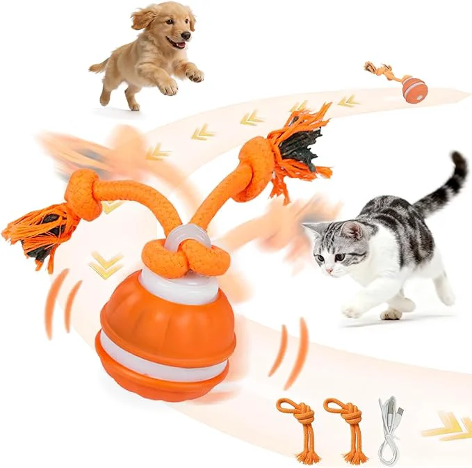 Comfortable Interactive Dog Cat Toys for Small Dogs and Indoor Cats – Automatic Moving Ball with Chirping Sound Motion Activated Self Play Toy to Entertain Bored Pets Easter Basket Essentials 1 Orange About This Authentic