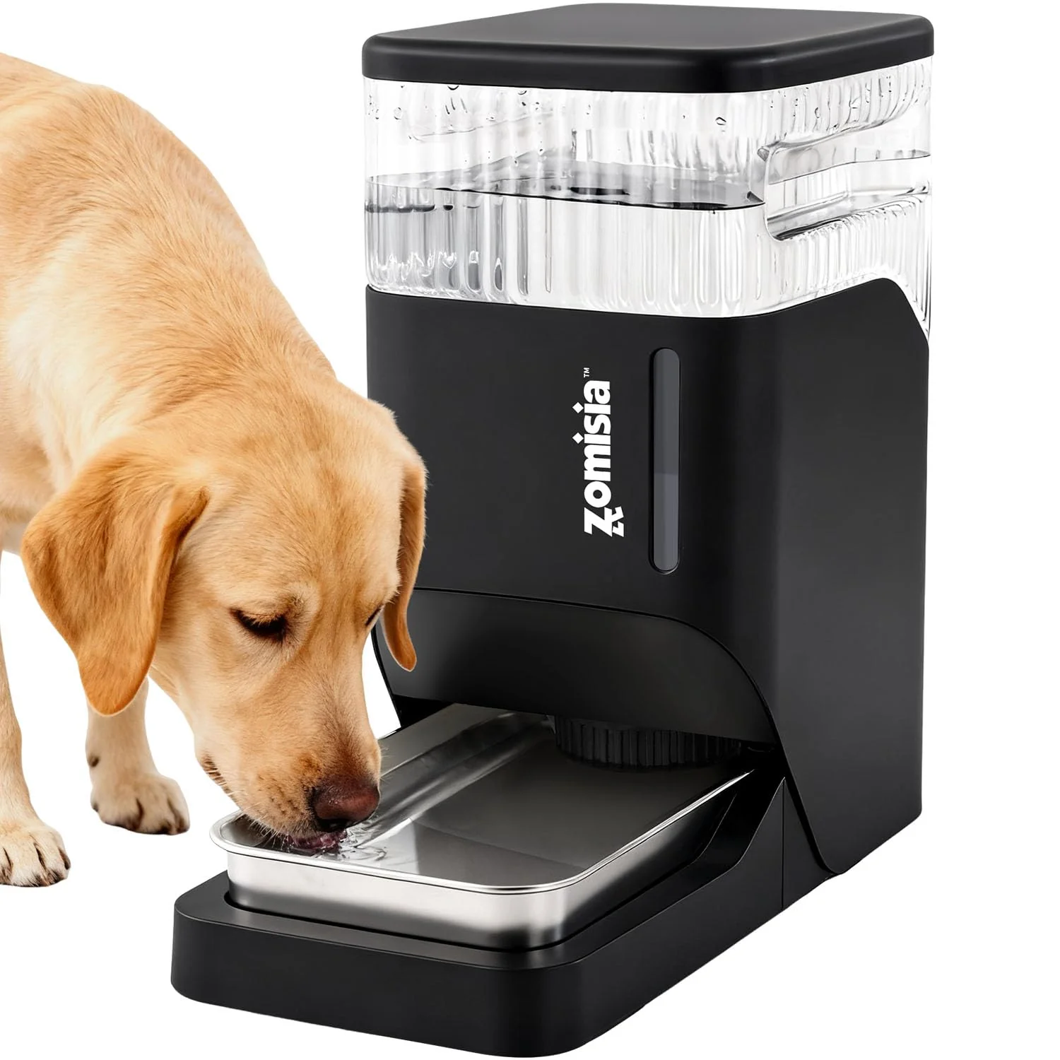 Authentic ZOMISIA Automatic Dog Water Dispenser 8L – Gravity Fed BPA- Stainless Bowl Crafted