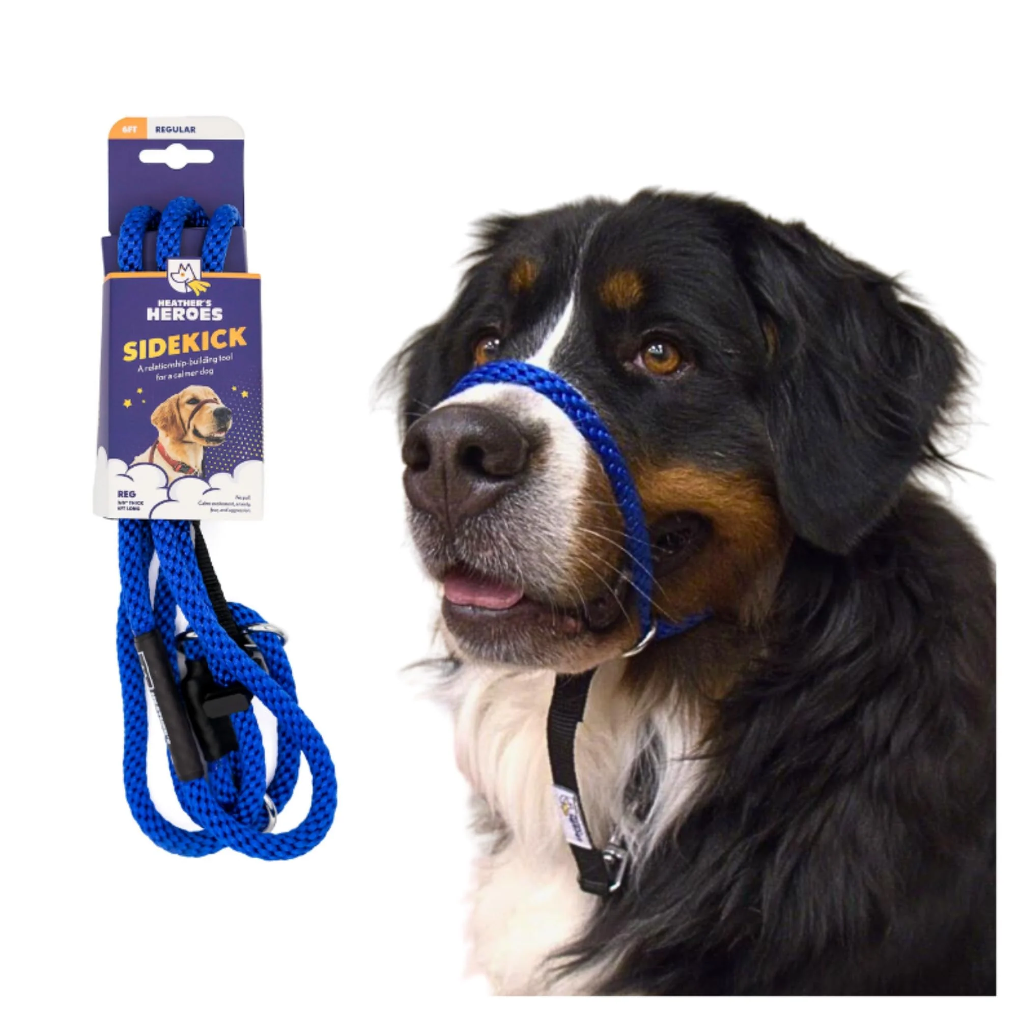 Responsible The Sidekick® by Heather’s Heroes — Gentle Headcollar Training Leash Advanced
