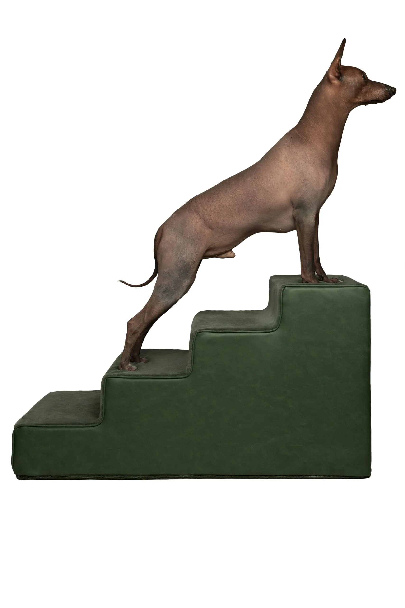 Soft Noah Paw Dog Stairs – 17-Inch Extra-Wide Leather Pet Steps for High Beds 3-5 Step Options Natural
