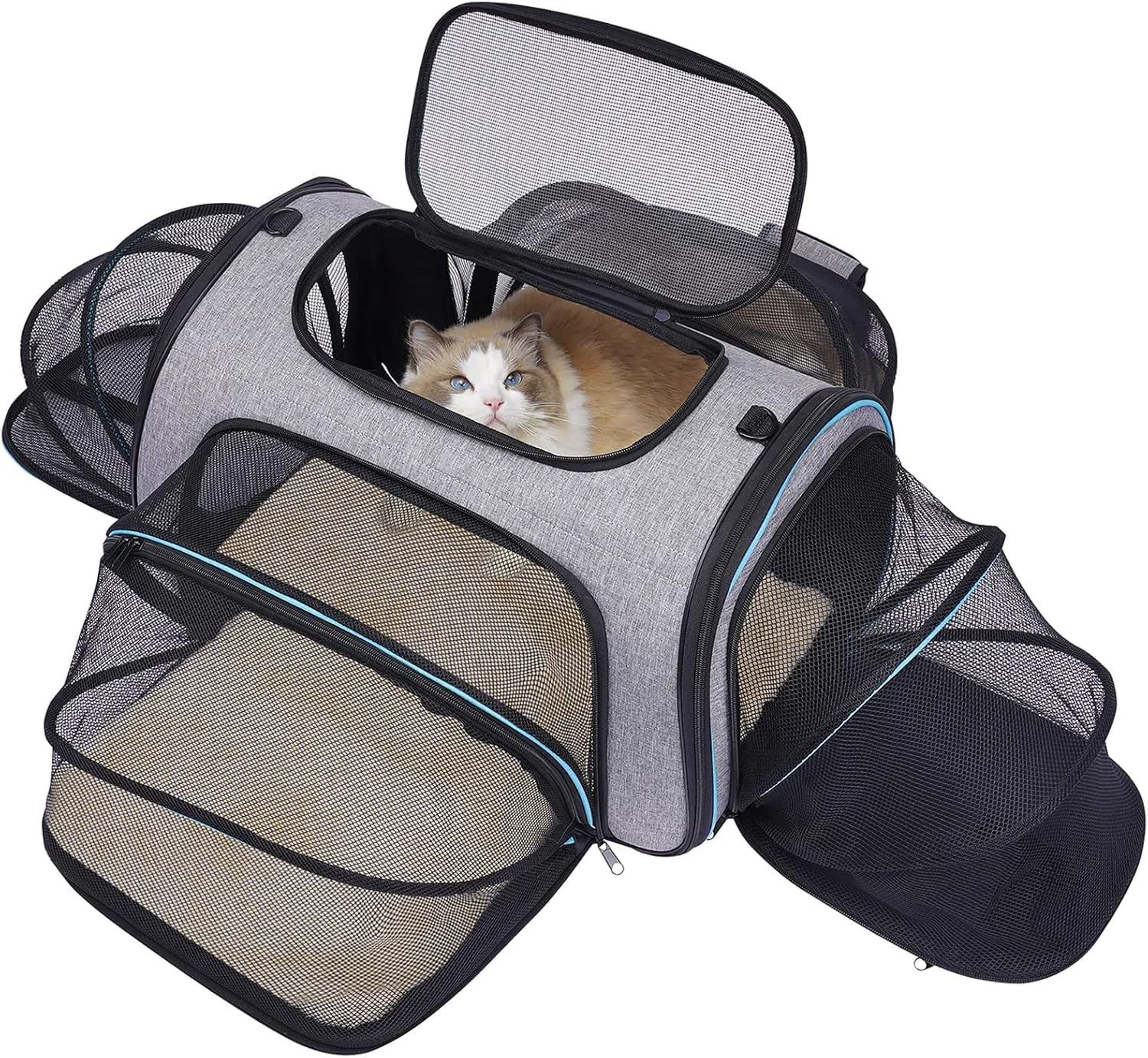 Natural Siivton 4 Sides Expandable Pet Carrier – Airline Soft-Sided Carrier for Cats Small Dogs Gray Blue 18 x 11 x 11 in Responsible