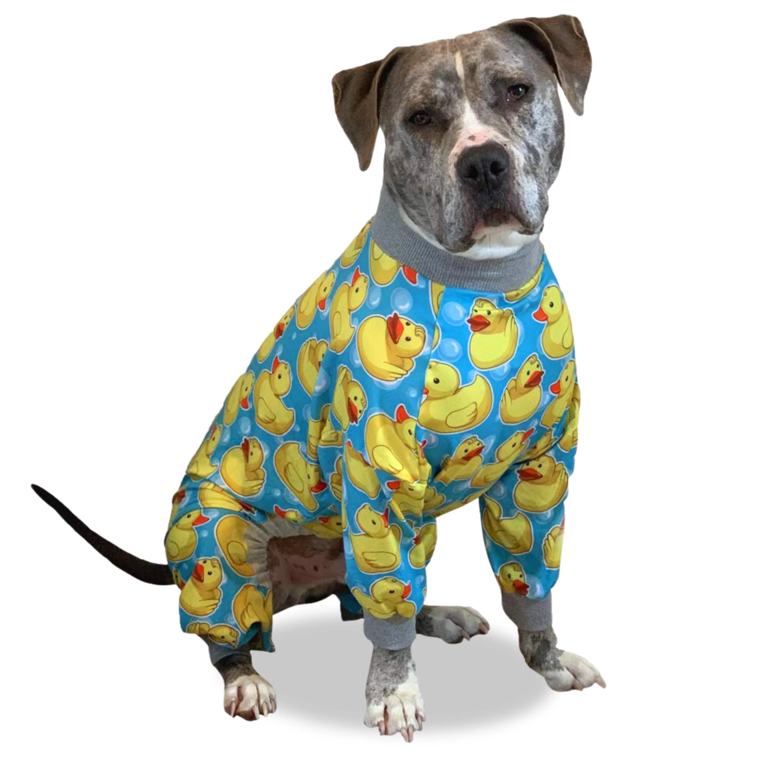 Eco-Friendly Tooth Honey Pit Bull Pajamas – Rubber Duck Print Lightweight Pullover Pajamas Yellow with Grey Trim Trendy