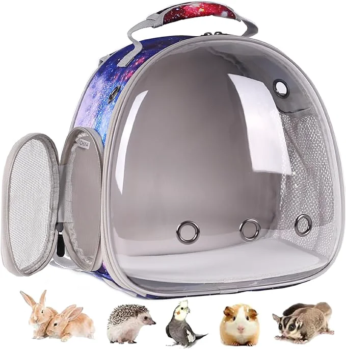 Enhanced Guinea Pig Carrier Backpack Bearded Dragon Backpack Reptile Lizard Clear Carefully Designed