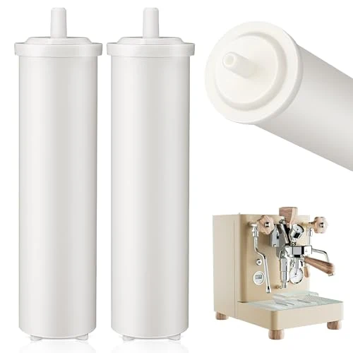 Sophisticated 2 Pack Cationic Resin Filter Powerful