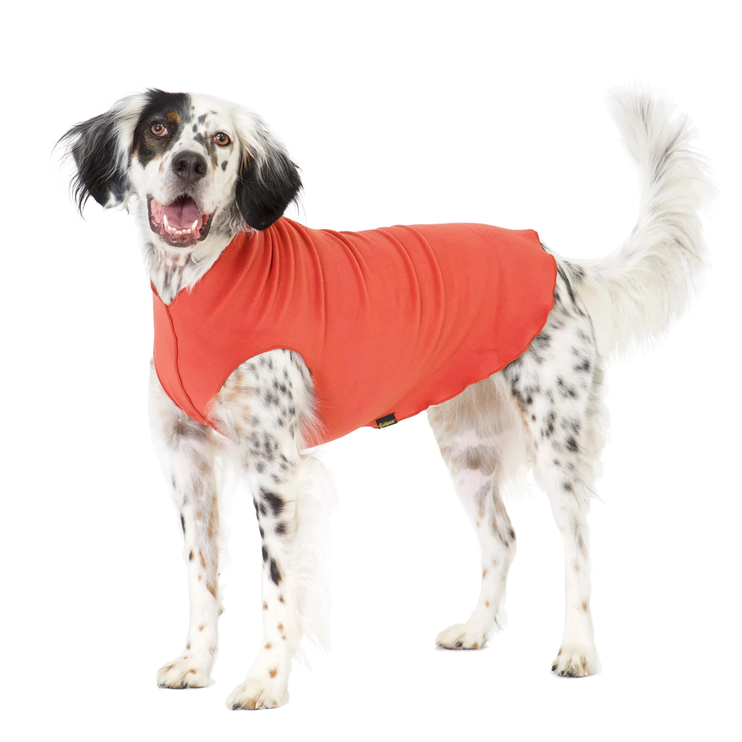 Fine Gold Paw Stretchy Fleece Jacket for Small Dogs – Paprika Size 16 Made in USA Machine Washable Fast