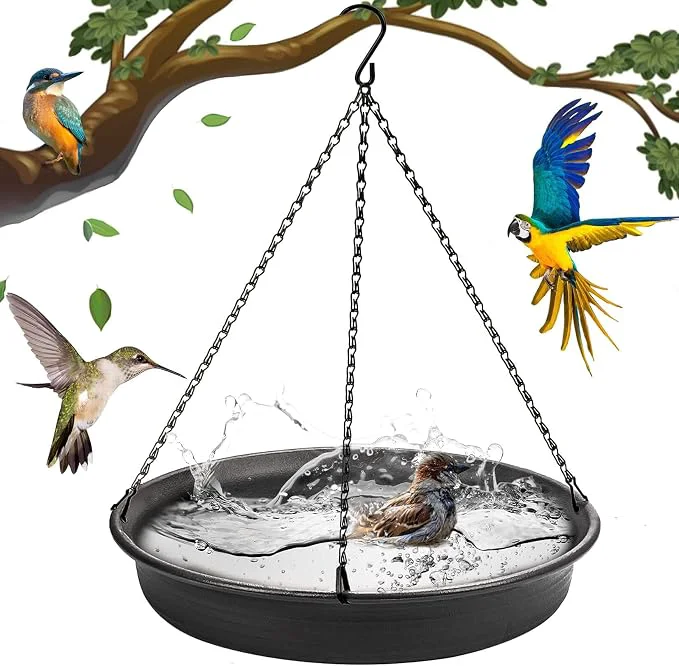 Contemporary Hanging Bird Bath Hanging Bird-Feeder Traditional