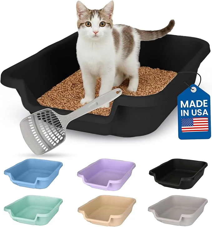 Optimized KittyGoHere Senior Cat Litter Box Small Litter pan with Long-Handle Jumbo Scoop Open Top Low Entrance Kitty Litters Box Lightweight Low Entry Litter Box Durable Made in USA Black About ThisOverview World-Class