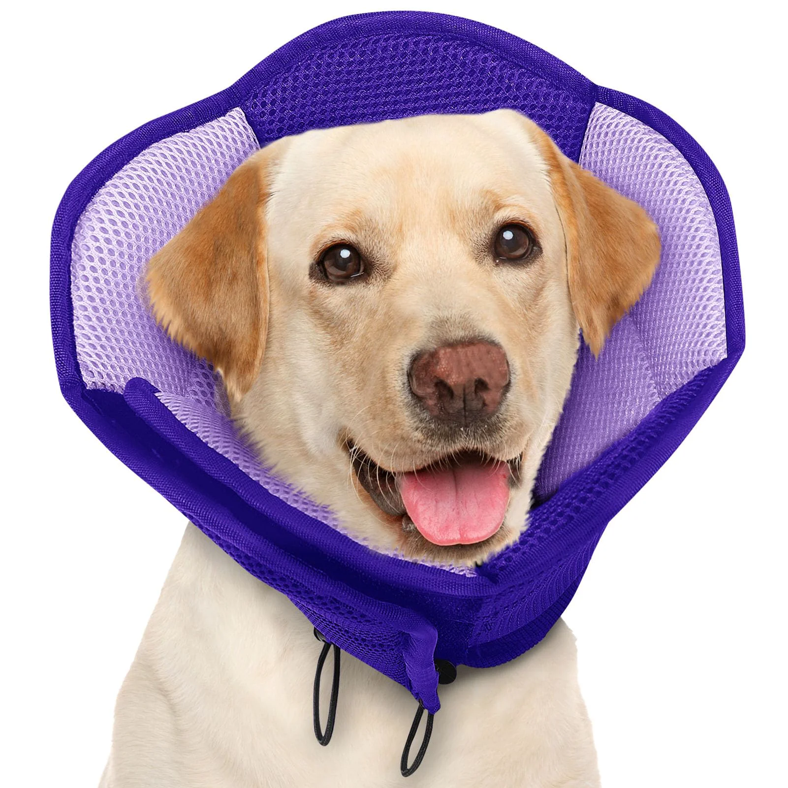Healthy AOFITEE Dog Cone – Soft Adjustable Purple E-Collar for Large Dogs Enhanced