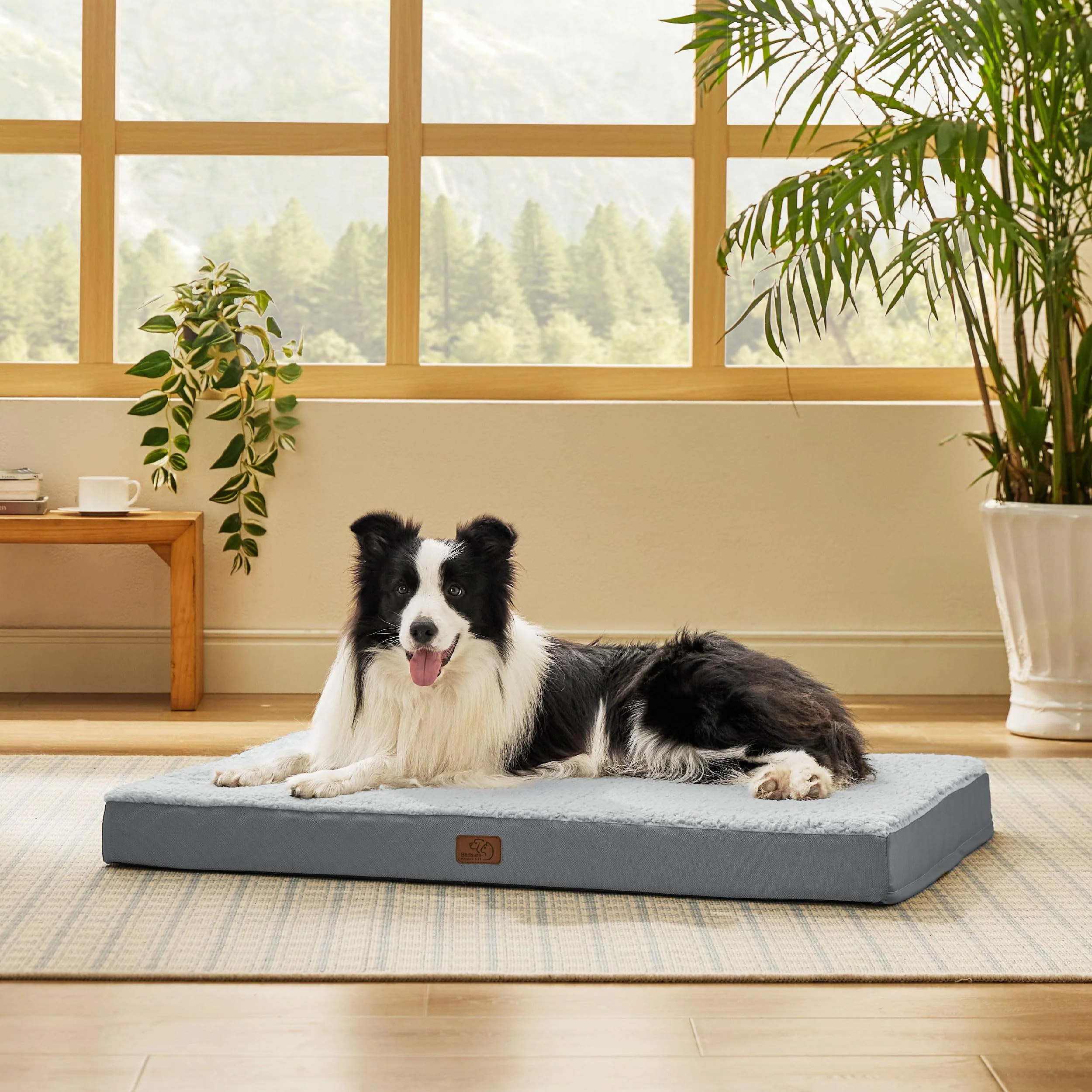 Contemporary Bedsure Large Dog Bed – Orthopedic Egg Crate Foam with Removable Washable Cover Enhanced
