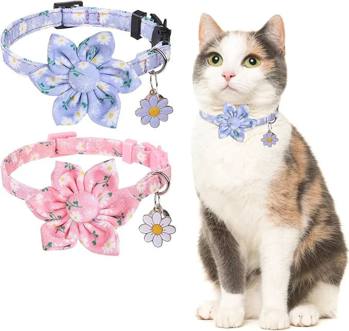 Efficient Breakaway Cat Collars for Girl Boy Cats 2 Pack Cute Kitten Collar Specialty