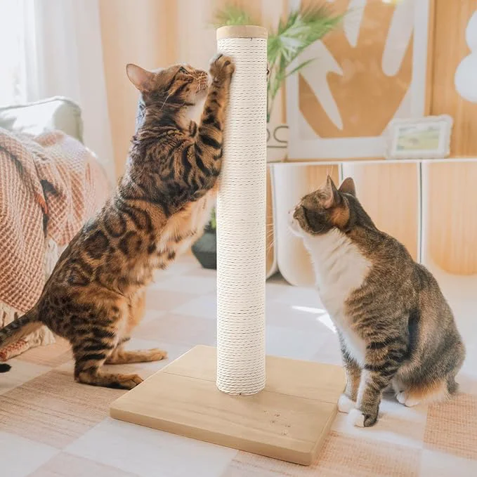 Green Necoichi 23.6 Tall Cat Scratching Post Kitten Scratcher Paper Rope Scratch Posts Trees with Hanging for Indoor Cats 23.6 inches for Kitty Regular Oak About ThisOverview Long-Lasting