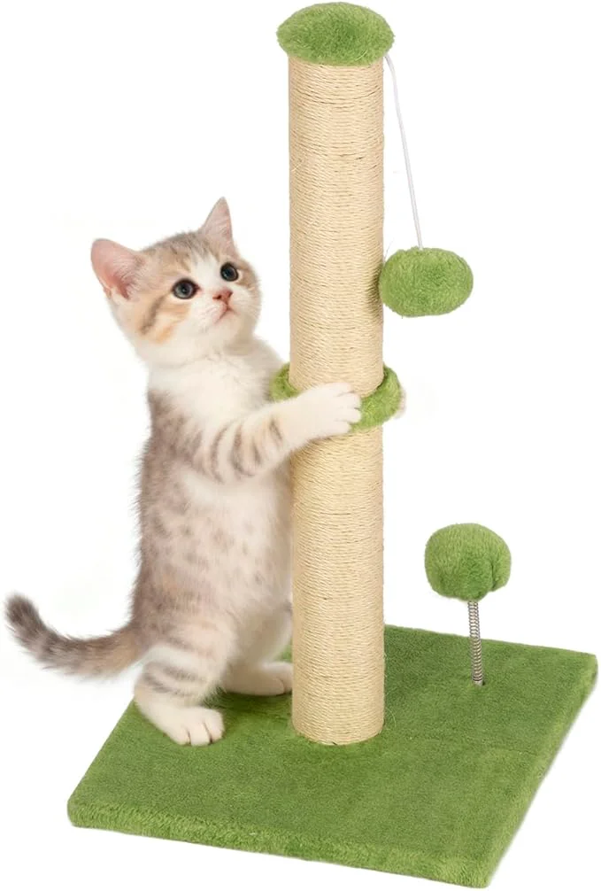 Premium Material FDW 22 Inch Cat Scratching Post Cat Scratcher Natural Sisal Rope Scratch Post Kitten Trees with Hanging Ball for Indoor Cats GreenAbout ThisOverview High-Performance