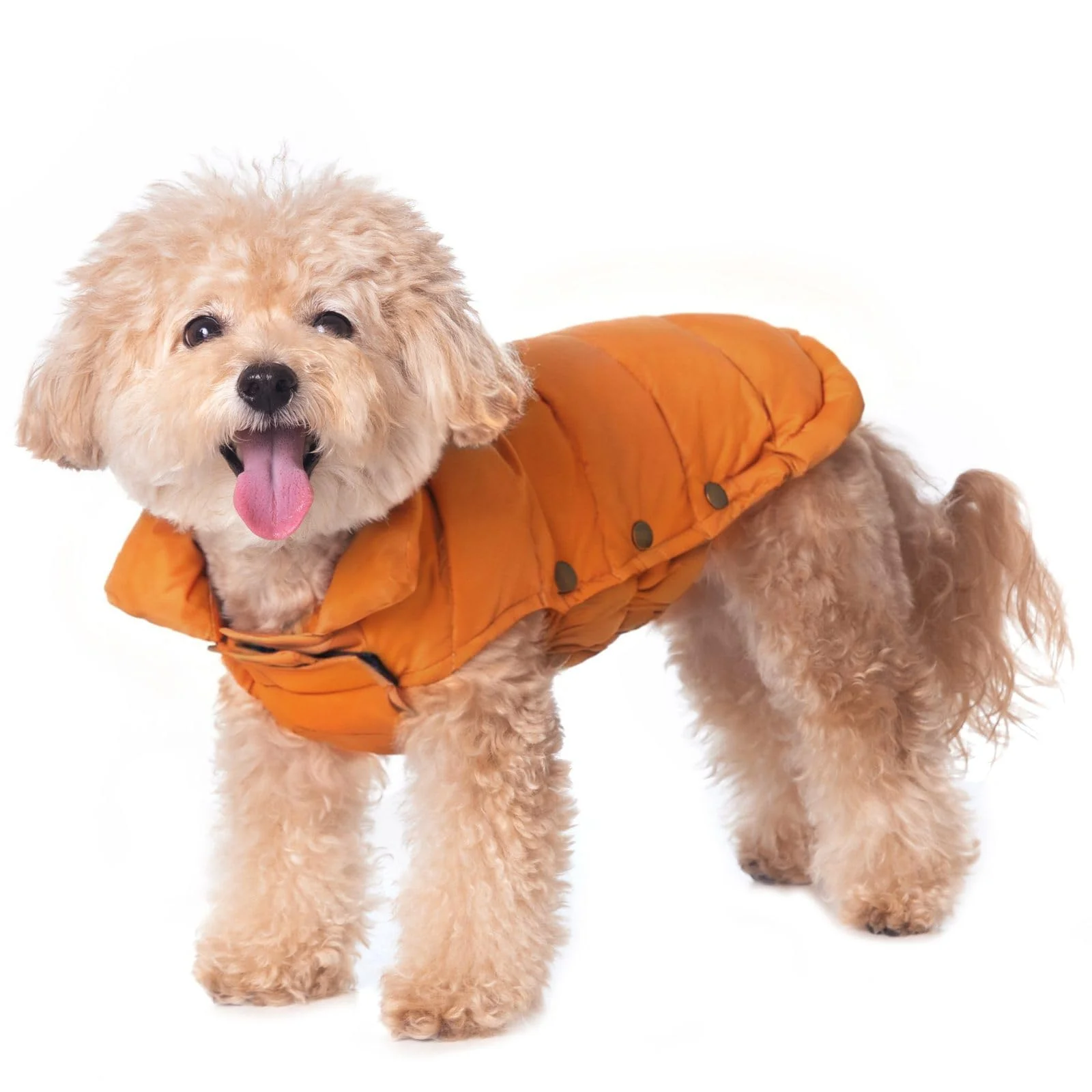 Breathable SPACE LION Dog Puffer Jacket – Lightweight Down Winter Coat for Small Dogs Orange Gift Box Efficient