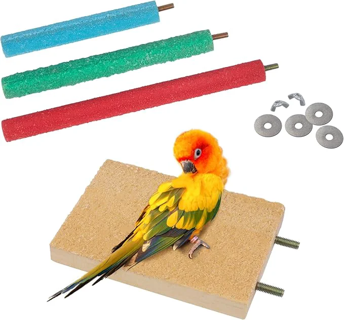 Smart Bird Perches for Conure Stand Natural Wood Platform Bird Nail Trimming Perch Traditional