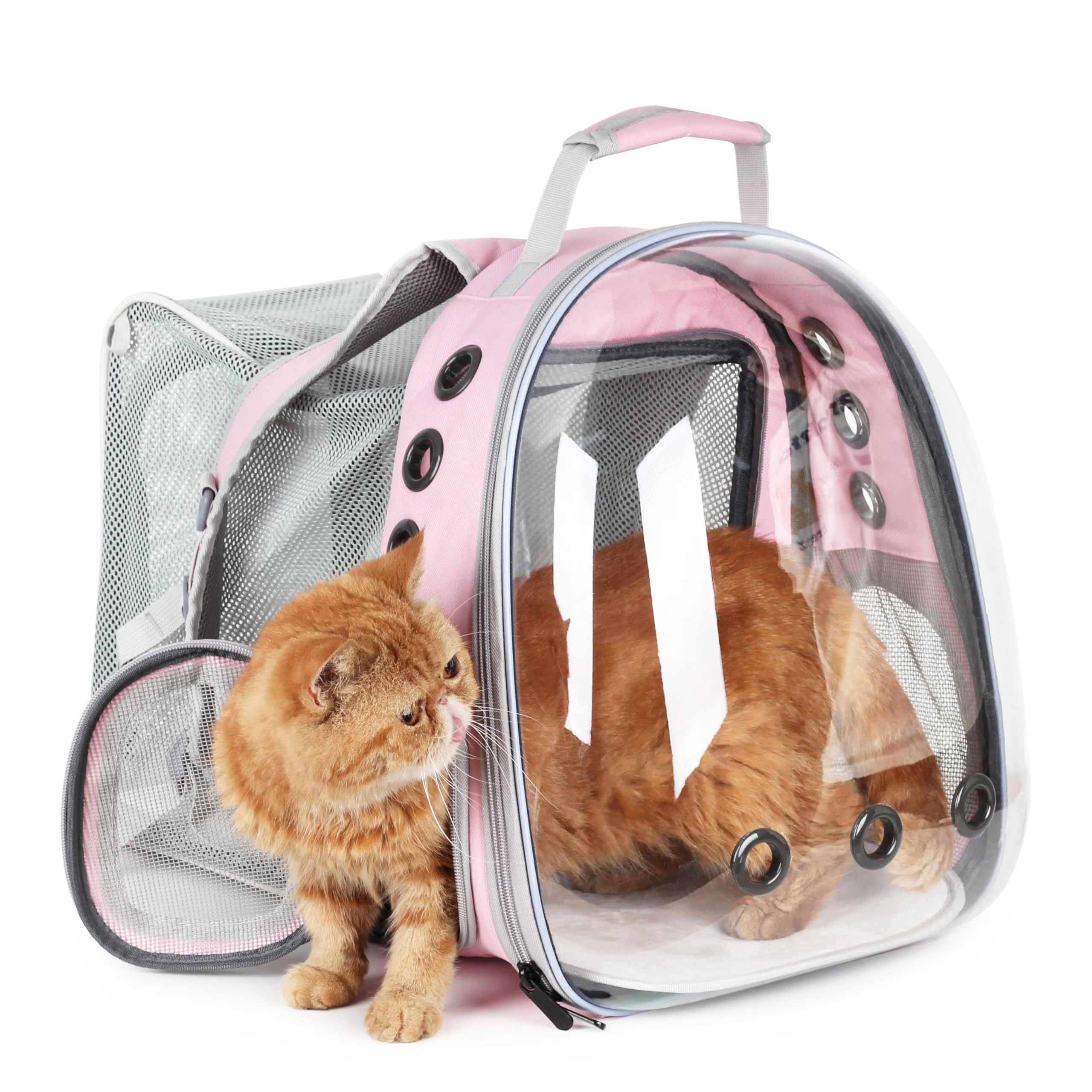 Effective LOLLIMEOW Cat Carrier Backpack – Expandable Bubble Window Travel Backpack for Cats Small Dogs Up to 14 lbs Quality