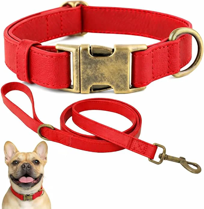Selected Silicone Dog Collar and Leash Set Waterproof Odor-Proof Puppy Collar Fashionable