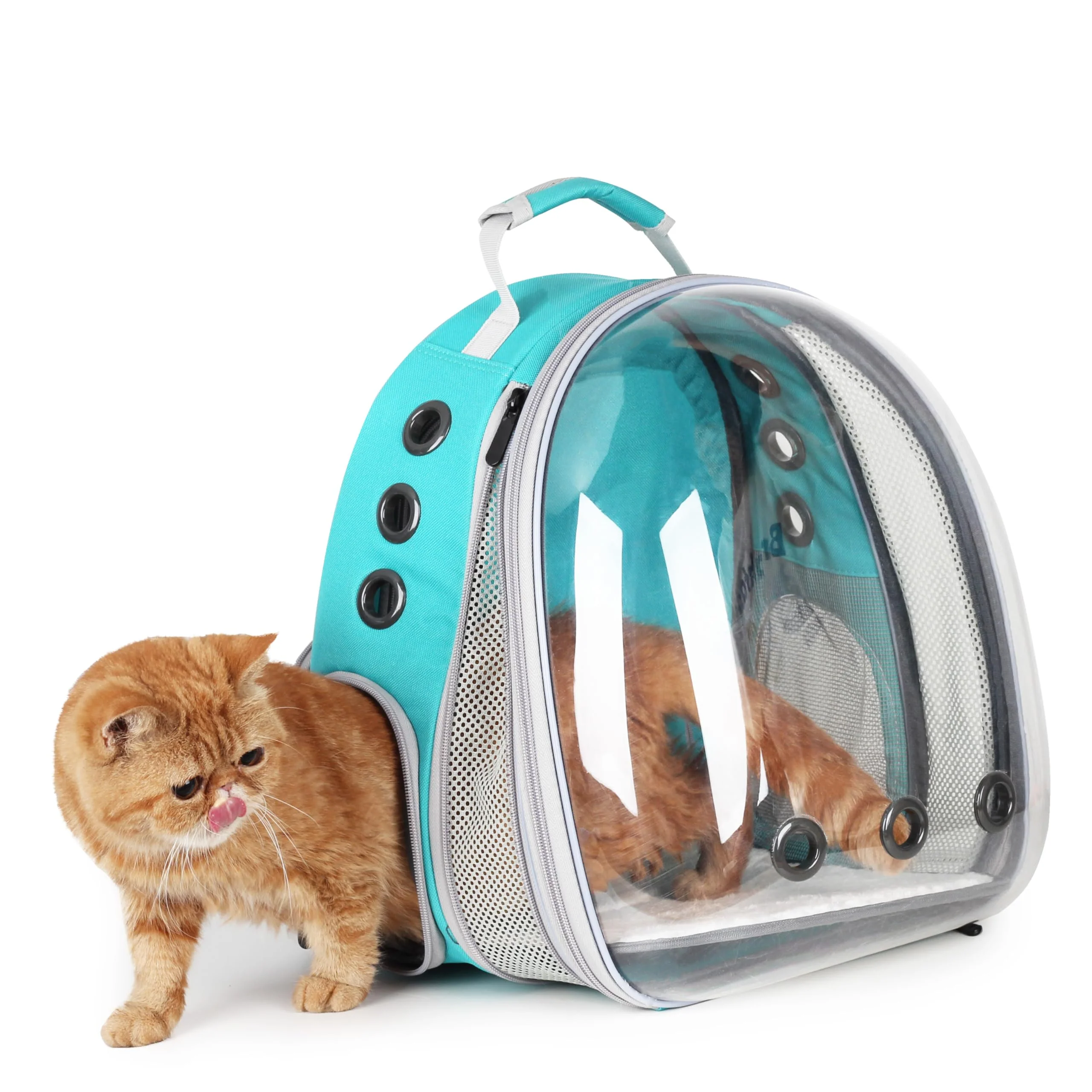 Stylish LOLLIMEOW Cat Carrier Backpack — Expandable Bubble Carrier Airline 16 lb Comfortable