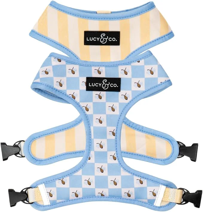 Comfortable Lucy Co. Bumbling Around Reversible Dog Harness Adjustable Comfort Fit Durable