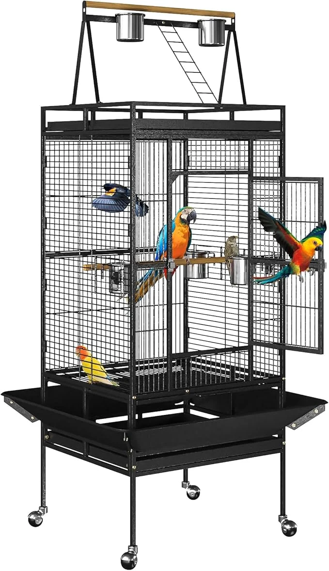 Environmentally Friendly Nova Microdermabrasion 68-Inch Height Wrought Iron Standing Large Play Top Bird Responsible