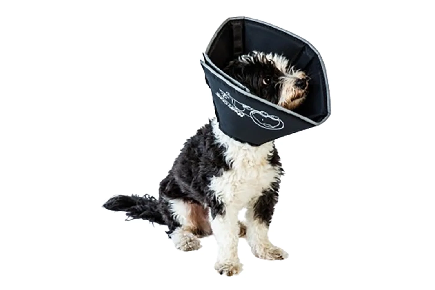 Trusted All Four Paws Comfy Cone – Soft Reversible Recovery Cone for Dogs Cats X-Large Black Next-Generation