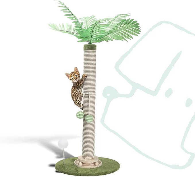 Stylish Cat Scratching Post 34 Inch with Rotating Turntable and Removable Hanging Ball Cat Scratcher for Indoor Cats Ultra Stable Base Paw-FGreen Baseriendly Jute Material Green BaseAbout ThisOverview High-End