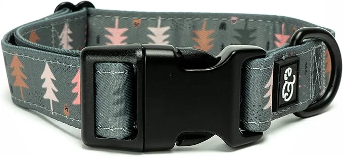 Traditional Lucy Co. Take a Hike Adjustable Dog Collar- Cute Designer Pet Collar Solid
