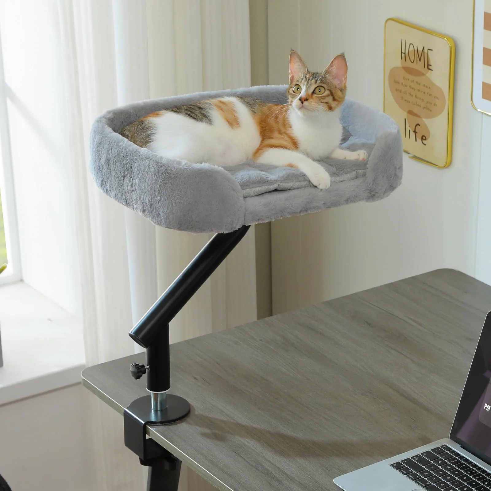 Consistent PAWZ Road Cat Desk Bed – Space-Saving Desk Attachment for Indoor Cats 360° Rotation Holds Up to 40 lbs Gray Contemporary