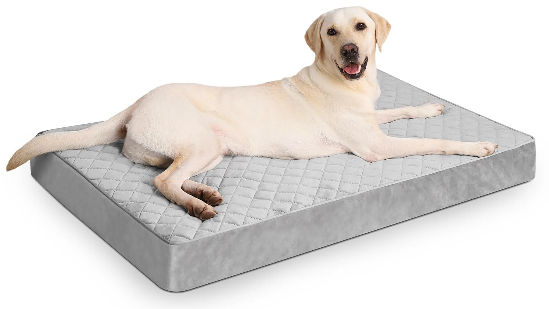 Elite NUPIDA Jumbo Dog Bed — Extra Large Orthopedic Bed 53×36 in Removable Cover Non-Slip Bottom High-End
