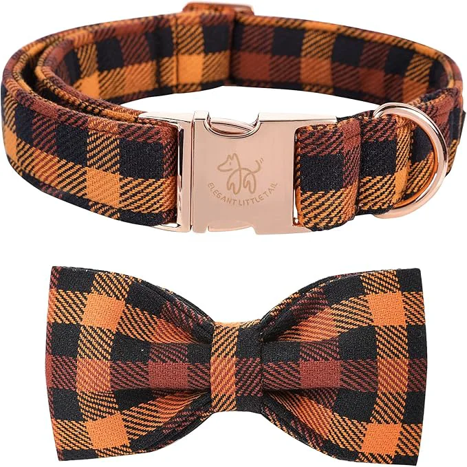 Trendy Elegant little tail Dog Collar Refined