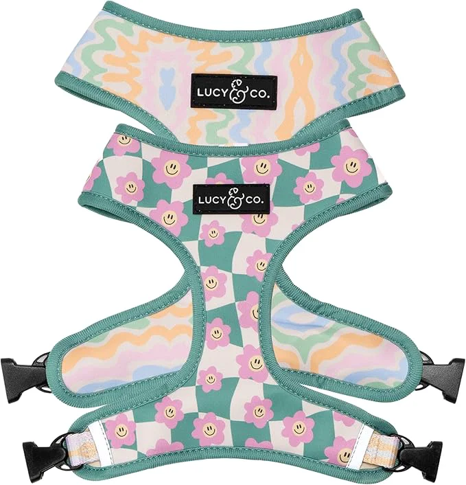 Responsible Lucy Co. Cute Reversible Dog Harness Walking Halter Clean