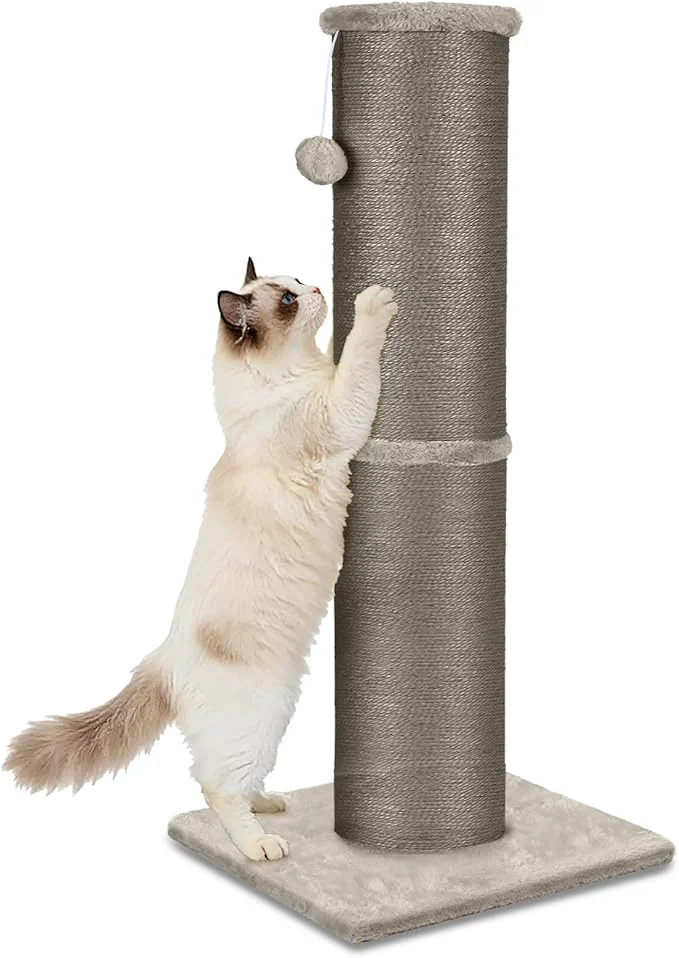 Healthy PAWSCRAT Cat Scratching Post 32 Inch High 5.5 Inch Large Diameter Natural Sisal Cat Scratch Post Scratch-Resistant and Durable Tall Cat Scratcher for Indoor Cats Protect Your Furniture GeryAbout ThisOverview Comfortable