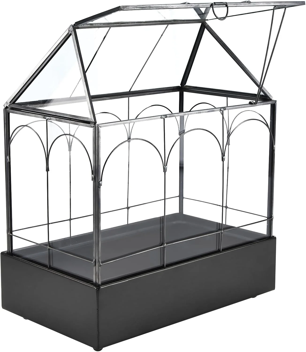 High-Grade High Glass Terrarium with Metal Tray Glass Greenhouse Terrarium Kit for Succulents Cacti Snails Spiders and Miniature Reptiles Black Large-9.45 L x 5.7 W x 11.8 H Enhanced