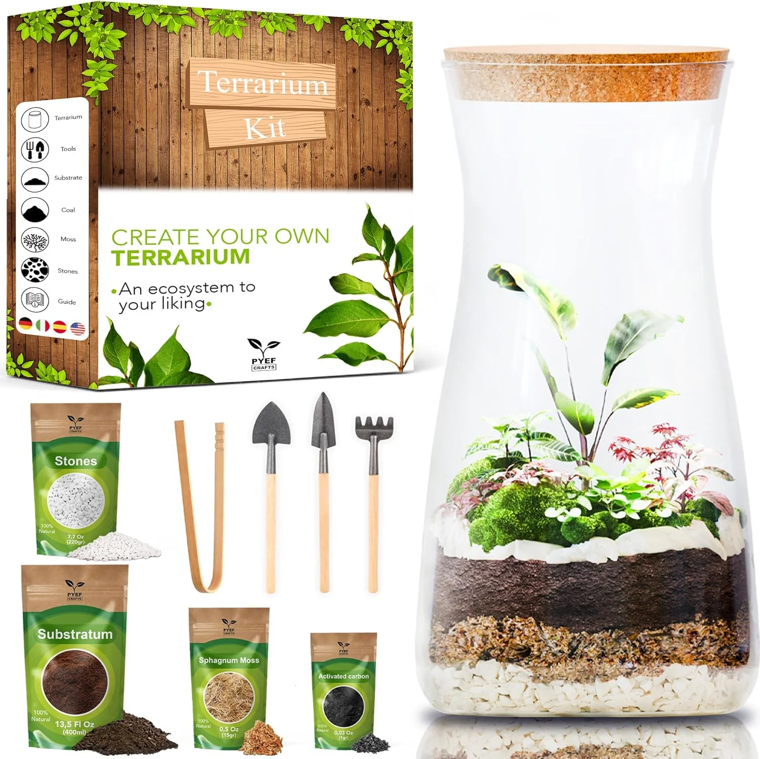 Official DIY Terrarium Kit for Adults – Build Your Own Self‑Sustaining Closed Ecosystem – 34 fl oz 1‑Liter Glass Terrarium – Succulents Air Plants Fittonia Fern – Plants Not Included Authentic
