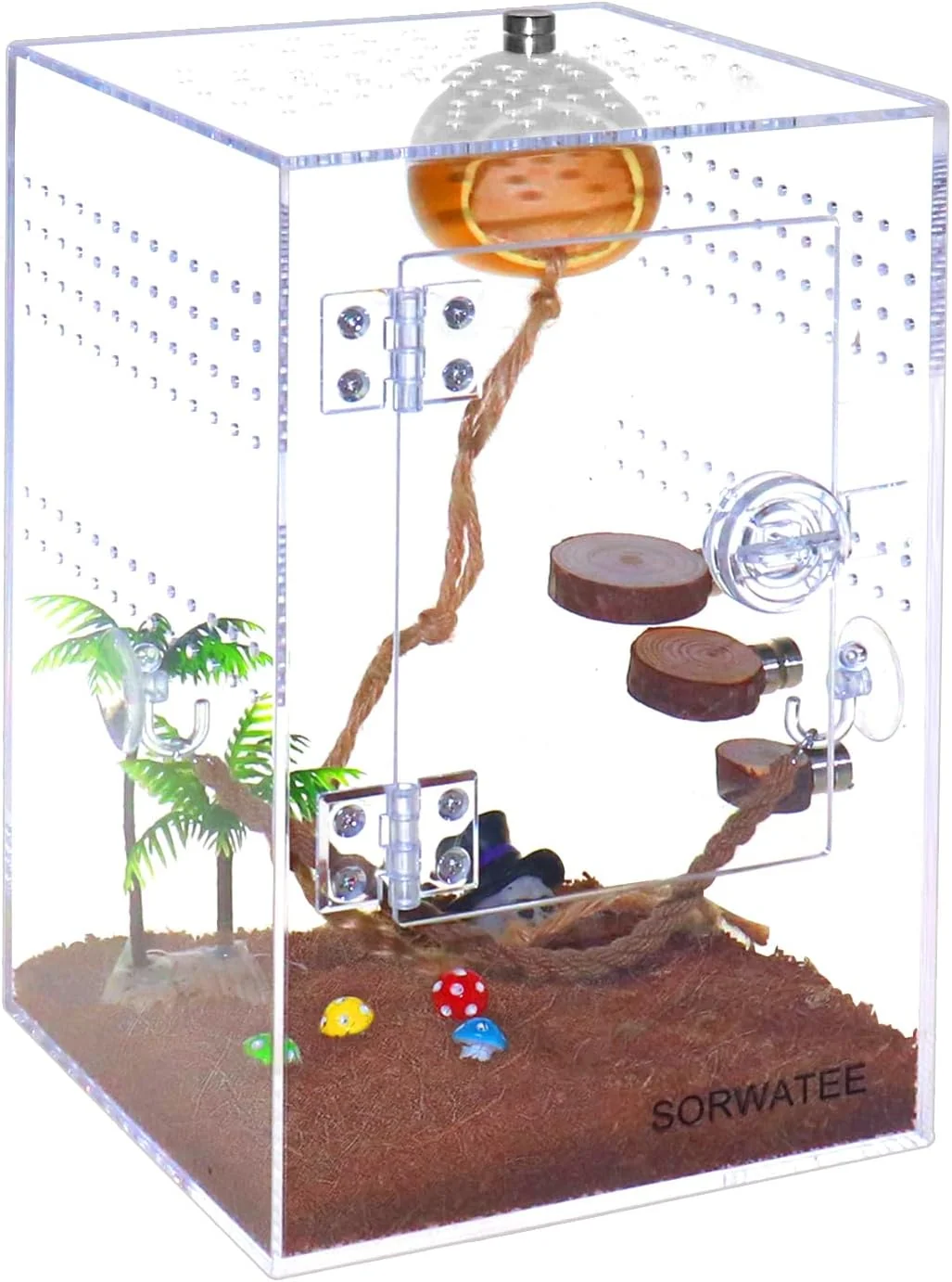 Top-Quality Spider Terrarium Kit Jumping Spider Enclosure with Hideout Rope Bridge Ledge Ladder Micro Habitat Terrarium for Small Tree Dwelling Reptiles Arbo Tarantula Enclosure 6x6x9 Inches Certified
