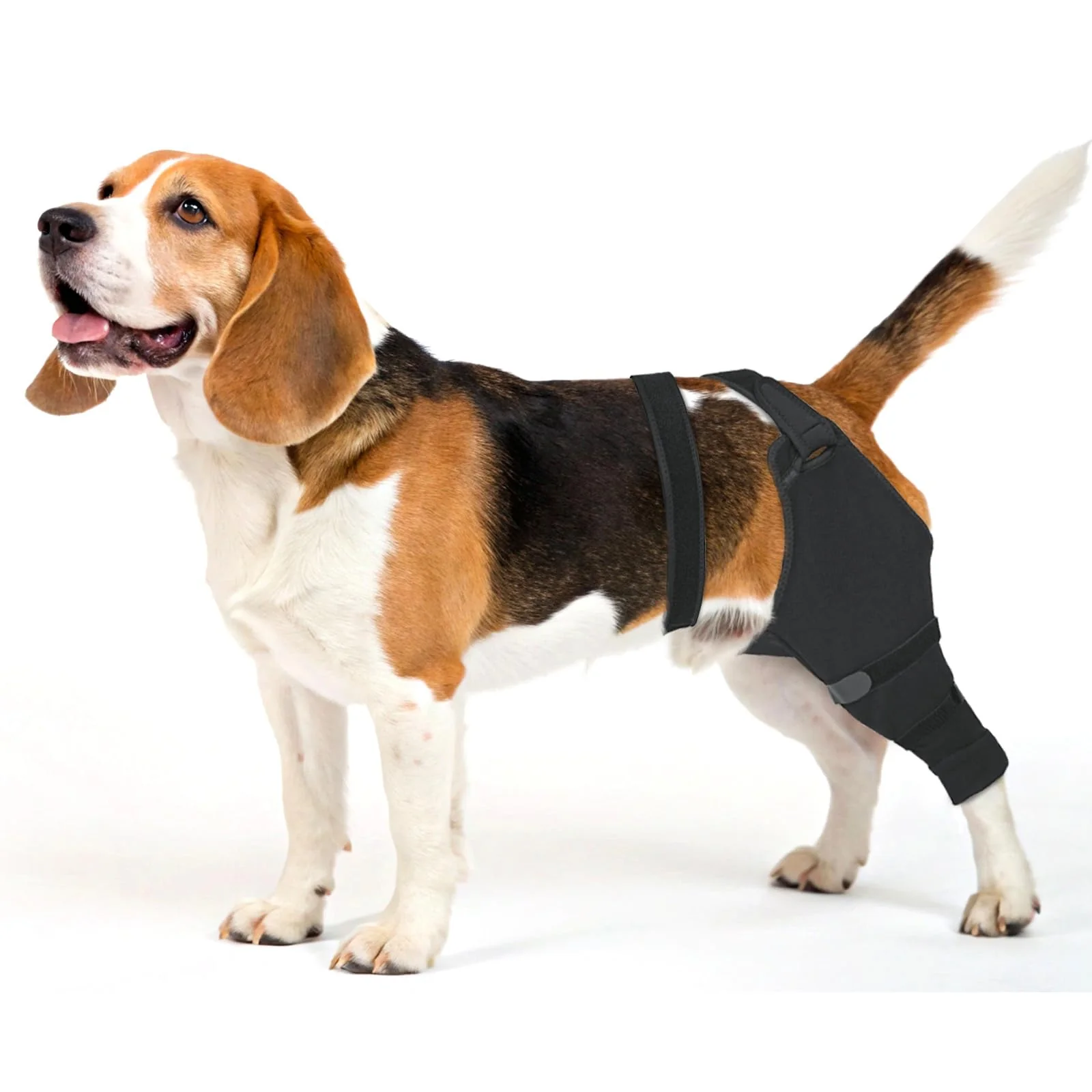 Official Joypig Sleeve for Dog Rear Leg — Post-TPLO ACL Recovery Wrap No Cone Excellent
