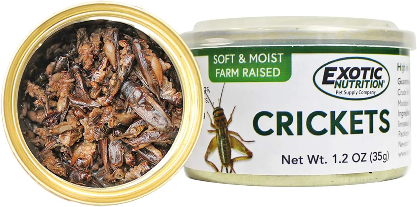 Green Canned Crickets 1.2 oz. – Healthy High Protein Insect Treat – Hedgehogs Sugar Gliders Reptiles Wild Birds Chickens Lizards Bearded Dragons Skunks Opossums Fish Amphibians Turtles