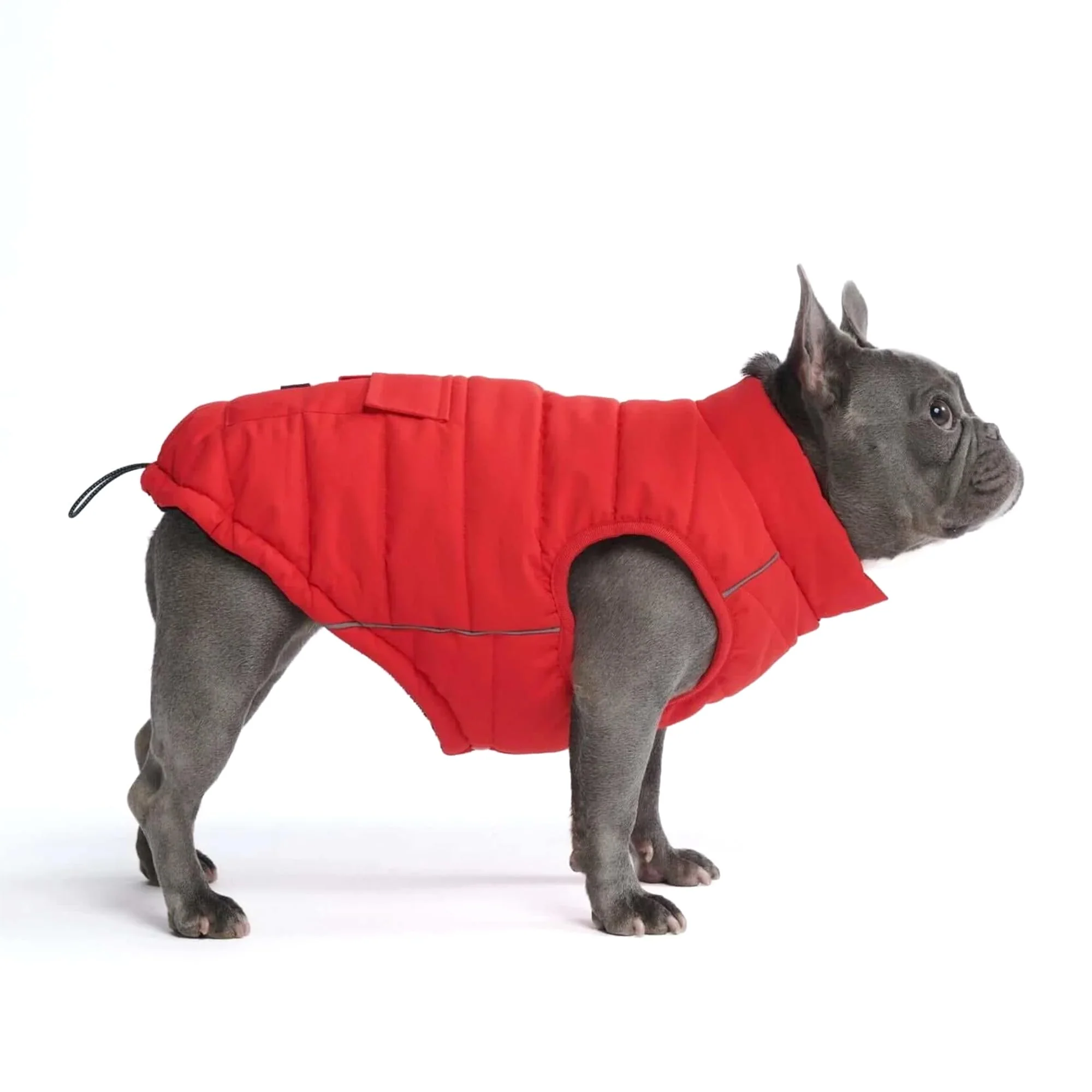 Official Spark Paws Dog Winter Jacket XL – Water-Resistant Warm Fleece Reflective World-Class