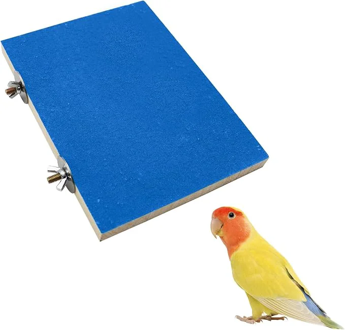 Modern Dnoifne 7.9×5.9 Inches Large Bird Perch Stand Platform Natural Wooden Bird Elite
