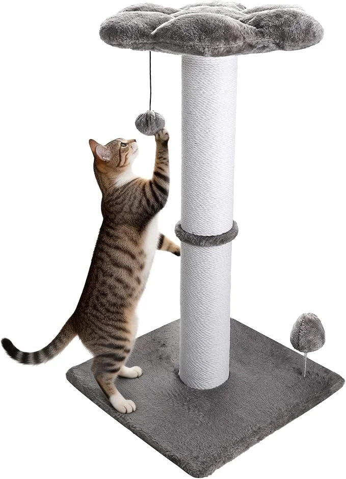 Certified Heavy Duty Cat Scratching Post 30 Inch Cotton Rope Cats Scratcher with Flower Cat Perch Hanging Ball for Indoor Cats Tall Cat Post Grey About ThisOverview Specialty