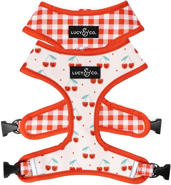 Certified Lucy Co. Cheery Cherries Cute Reversible Dog Harness Walking Halter Expertly Made