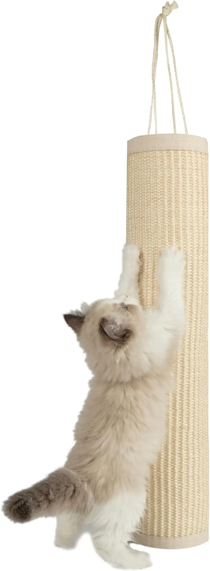 Exceptional Pet Supplies Catify Cat Scratcher Fun Interactive Scratchers Posts Poles Claw Safe Furniture Saver Indoor Play Support Natural Cat Behaviors Heavy Duty – Log Cream 22 x 17.28About ThisOverview Expertly Made
