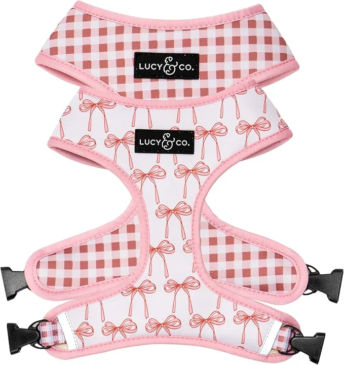 Exceptional Lucy Co. Cute Reversible Dog Harness Walking Halter Premium