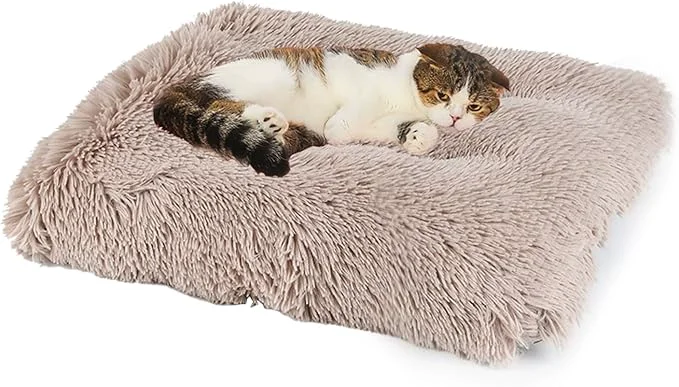 Outstanding Washable Extra Large Medium Small Size Dog Cat Bed Indoor Calming Comfort Fluffy Self Warming Heated Couch Mat for Creat Cage Heating Sofa Pad Furniture for Big Sized Pet Puppy Bunny Rabbit CarAbout ThisOverview Premium Material