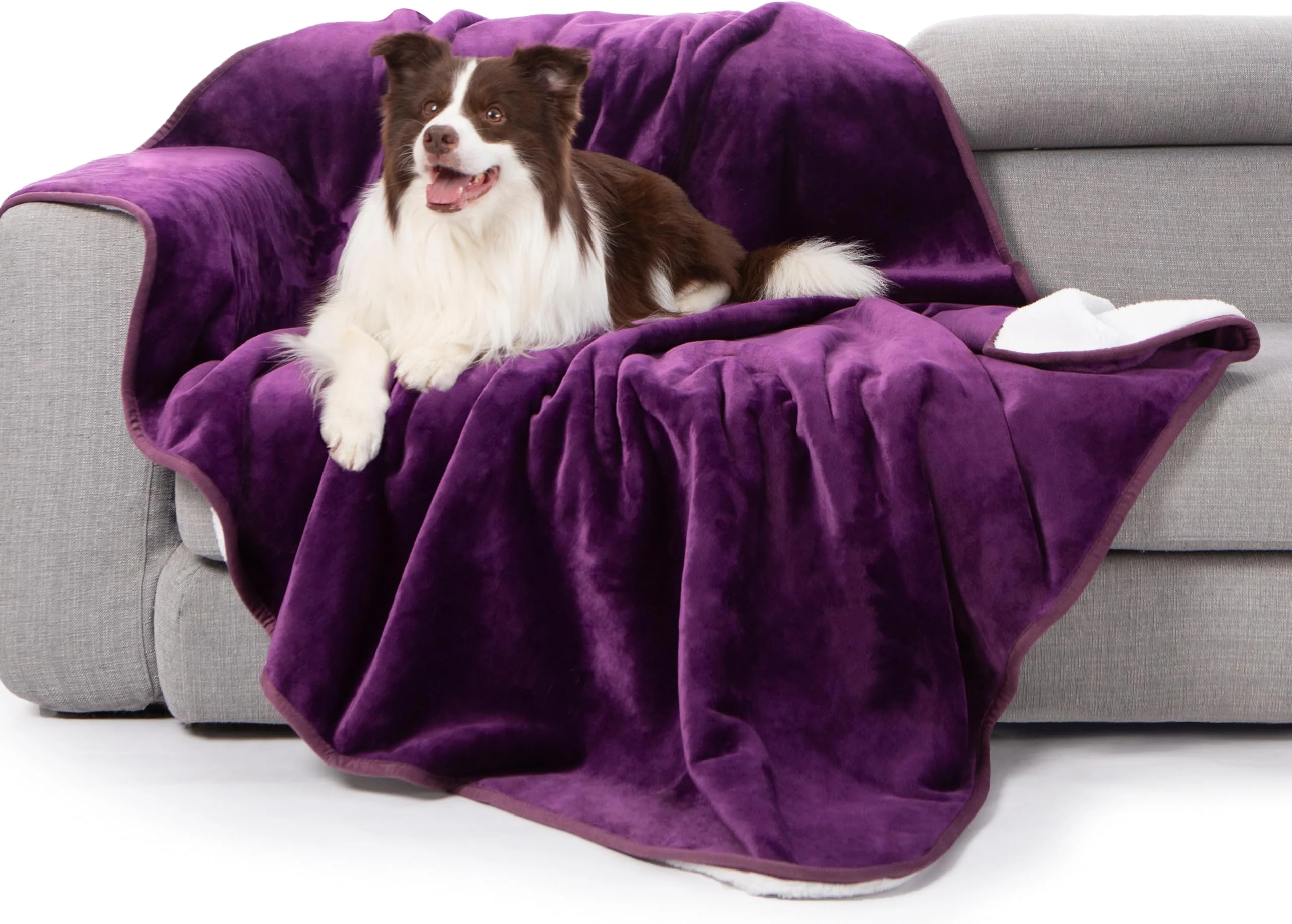Luxury Gogobunny Waterproof Bed Blanket Dark Purple 60x80 Reversible Sherpa Fleece Throw for Pets Organic