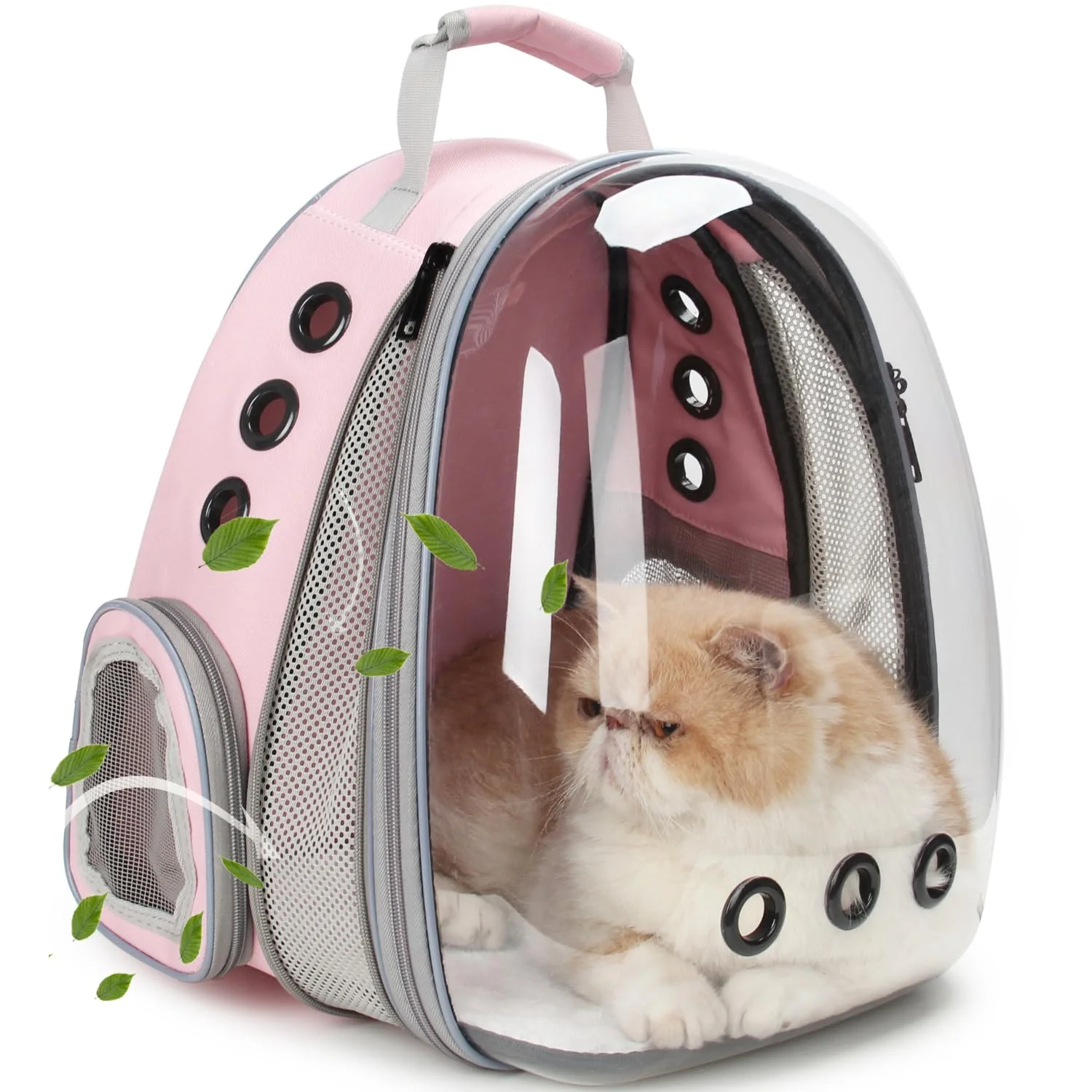 Powerful Lollimeow Cat Carrier Backpack with Bubble Window Expandable Airline Up to 16 lbs Minimalist