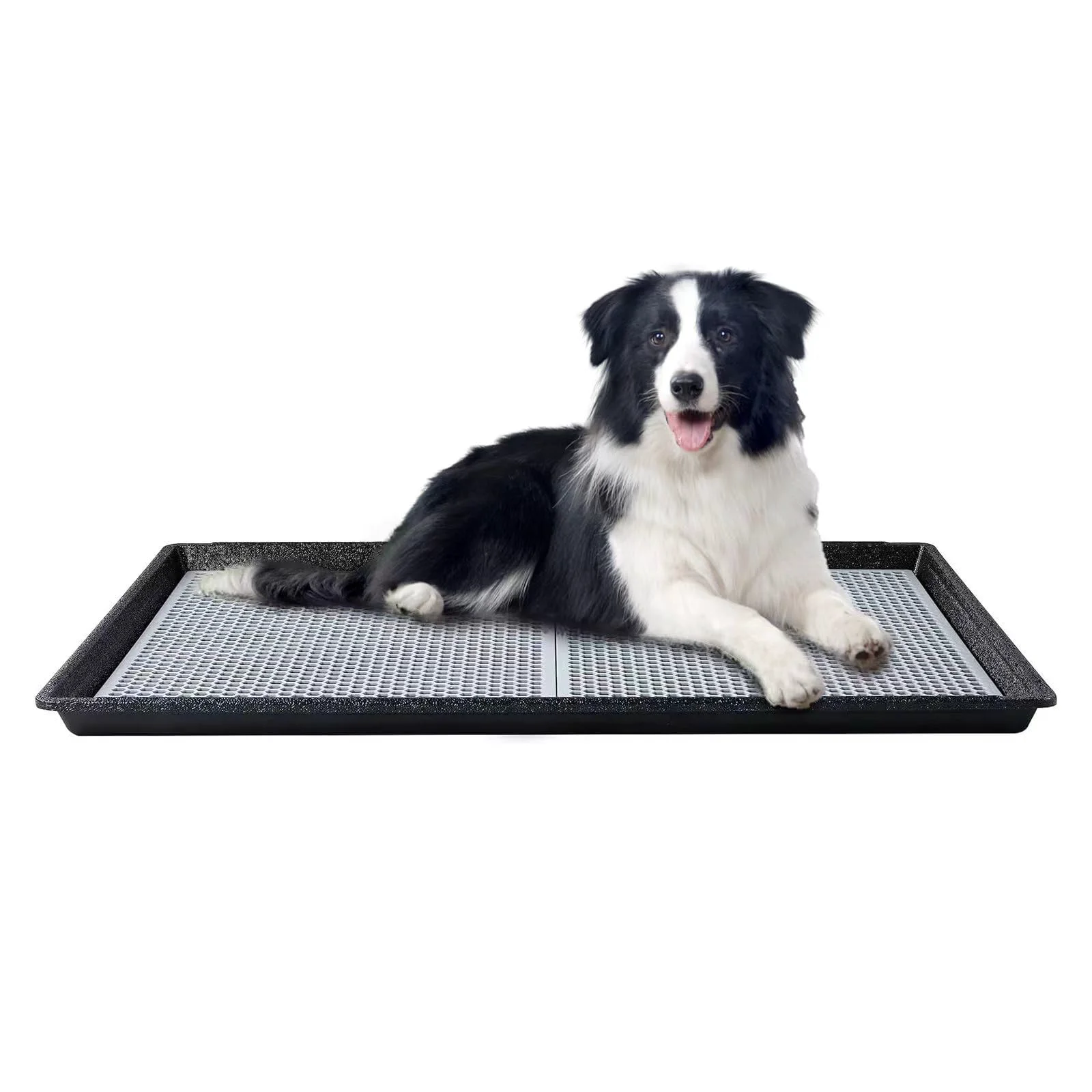 Casual HQ4US 4LEGS Dog Pee Pad Holder Tray 34×23 – Large Indoor Outdoor Potty Box Flexible
