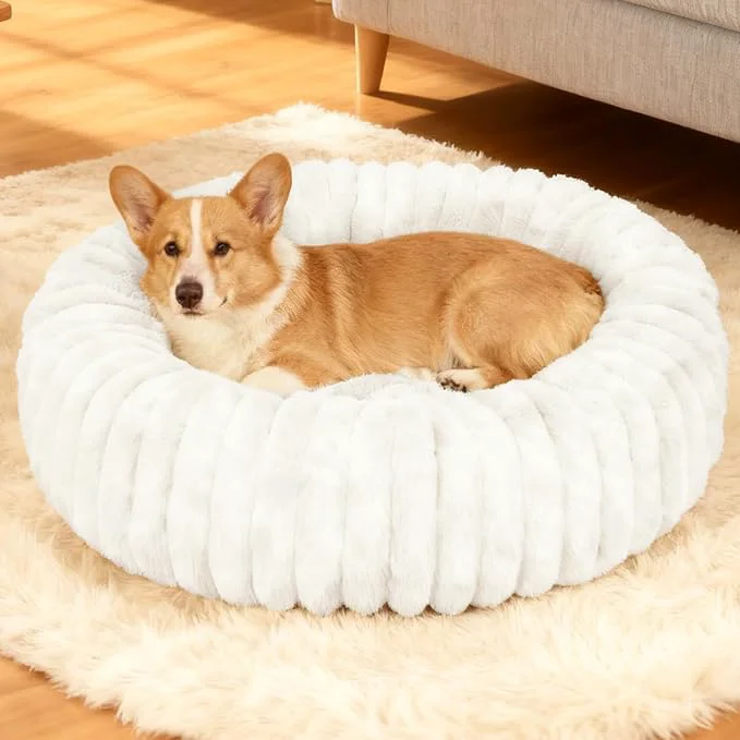 Top-Quality Washable Small Cat Dog Bed Calming Anti Anxiety Round Donut Dog Bed Fluffy Puppy Dog Beds for Medium Small Dogs Cute Kitten Cat Beds for Indoor Cats Comfort Pet Bed for Medium Size Dogs White M About ThisOverview World-Class