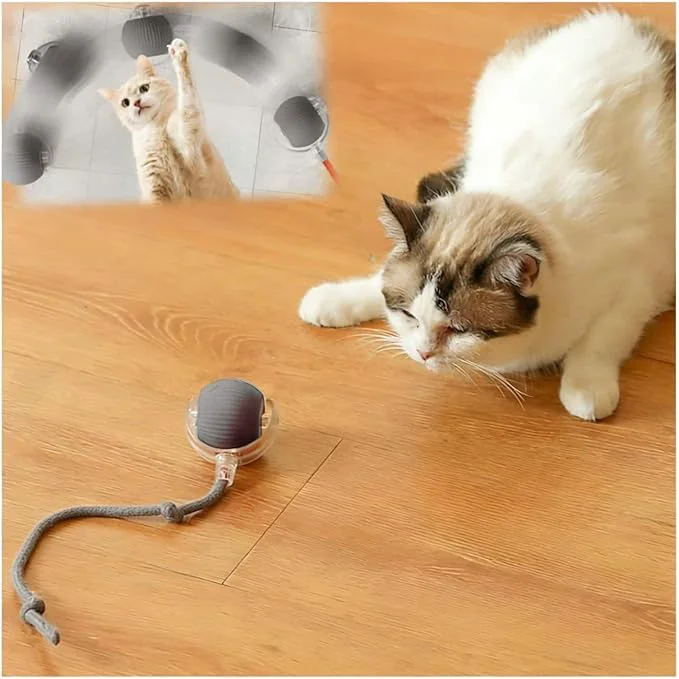 Fashionable Interactive Cat Toys for Indoor Cats Agility Move Cat Balls Motion Activated Environmentally Friendly